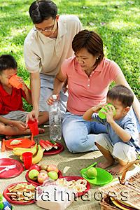 Asia Images Group - Family with two boys having picnic in park