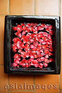 Asia Images Group - Rose petals in a bowl, high angle view