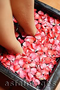 Asia Images Group - Woman with feet in bowl of water filled with flower petals, low section