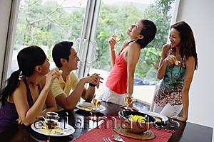 Asia Images Group - Young adults having lunch party at home