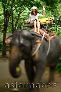 Asia Images Group - Young woman riding elephant, waving, Phuket, Thailand