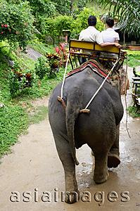 Asia Images Group - Couple riding elephant,  Phuket, Thailand