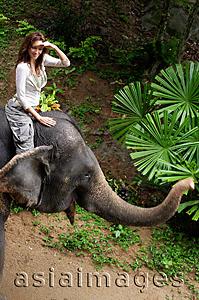 Asia Images Group - Young woman sitting on top of elephant, shielding eyes, Phuket, Thailand