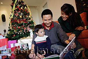 Asia Images Group - Family with one child, looking at book, Christmas tree behind them
