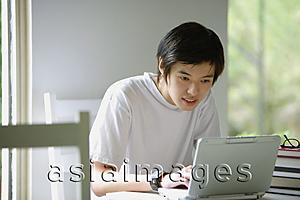 Asia Images Group - Young man using laptop