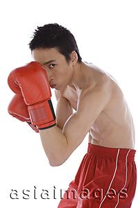 Asia Images Group - Young male boxer looking at camera