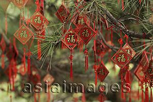 Asia Images Group - Good fortune charms hanging from a tree in Beihai Park, Beijing, China