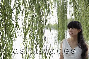 Asia Images Group - Young woman standing under a willow tree