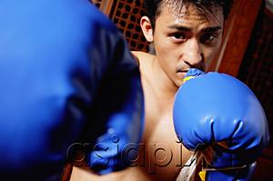 AsiaPix - Male boxer in boxing pose