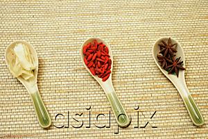 AsiaPix - Still life of  Chinese soup spoons with spices