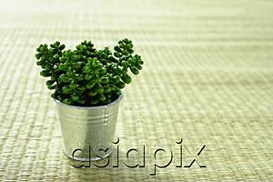 AsiaPix - Artificial plant in a pot