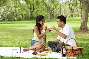 PictureIndia - Couple having picnic, toasting with wine glasses