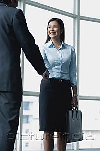 PictureIndia - Businessman and businesswoman shaking hands