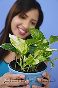 PictureIndia - Woman holding potted plant