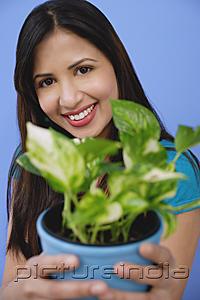 PictureIndia - Woman holding potted plant, focus on the background