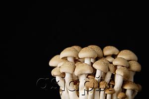 AsiaPix - Dried mushrooms against black background, still life